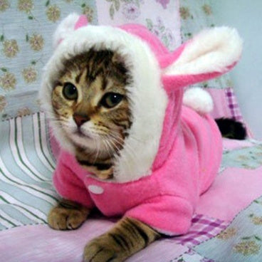 Disfraz de conejo para Gatos o perros pequeños (Mascotas)