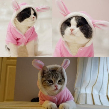Disfraz de conejo para Gatos o perros pequeños (Mascotas)